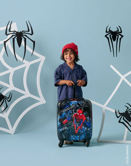Coole Spider-Man tassen