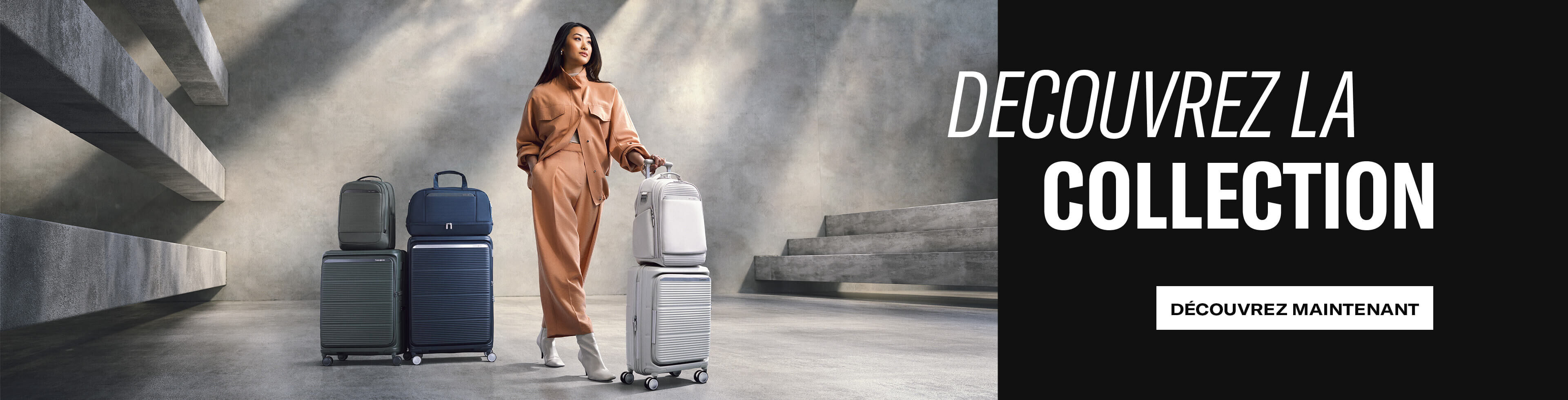 Discover the Paralux Collection